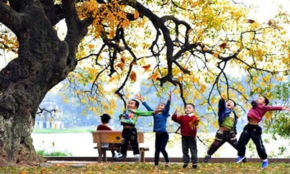 Dự báo thời tiết 3/12: Bắc Bộ nắng đẹp cuối tuần