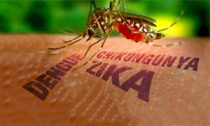 Số ca nhiễm virus Zika tại TP HCM đang cao nhất cả nước