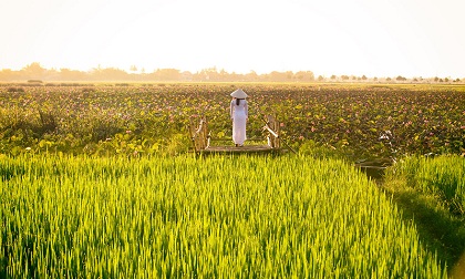 Vẻ đẹp tà áo dài Việt Nam qua ống kính nhiếp ảnh gia nước ngoài