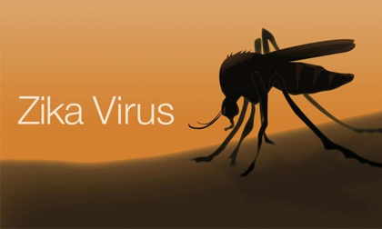 Gần 100 người nhiễm virus Zika tại TP HCM