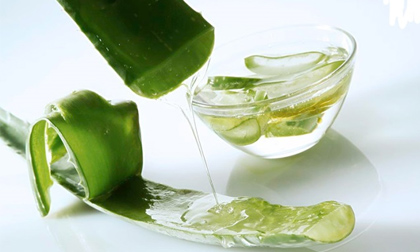 Các cách làm đẹp da hiệu quả từ lô hội