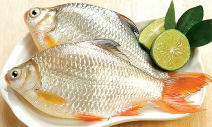 Mẹo giúp cho cá không bị tanh bạn nên ghi nhớ