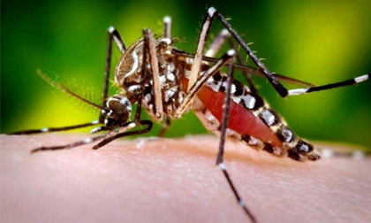 Số người nhiễm Zika ở TP HCM đã tăng lên hơn 100