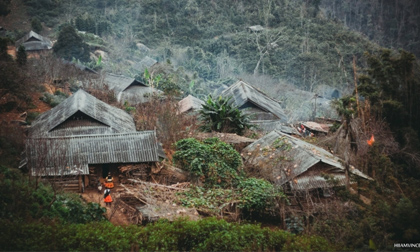Những 'búp măng' ở Tà Xùa huyền ảo