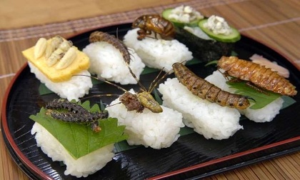 Những món ăn nhìn là sợ ở Nhật Bản