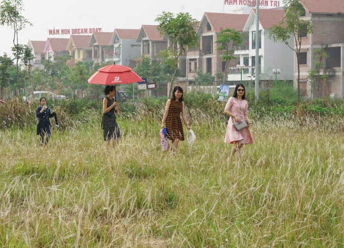   Với vẻ đẹp thơ mộng thu hút nhiều người dân đi qua đây ghé vào tham quan, chụp ảnh.              Một người dân đang hứng thú chụp ảnh cho bạn mình.                     Cô gái thích thú tạo dáng bên vườn lau.                     Vẻ đẹp ngỡ ngàng, màu trắng tinh khiết của hoa lau đang mùa trổ bông.                       Với vẻ đẹp ngỡ ngàng ngay giữa khu đô thị khiến cho nhiêu người dân thích thú.                      Tranh thủ tạo dáng chụp ảnh lưu niệm bên nhau .                    Họ hồn nhiên truyện trò,dảo bước trong vườn lau.                                           Một cô gái đang say sưa chụp ảnh tự sướng.                            Do nắng to nên hoa lau nở nhanh chóng và được gió thổi bung nên vườn hoa cũng nhanh tàn.                
