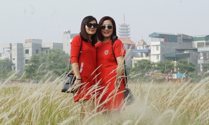 Ngắm nhìn cánh đồng lau bạt ngàn mùa trổ bông trong khu đô thị Linh Đàm ( Hà Nội )