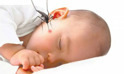 Mẹo bẫy muỗi đơn giản và dễ làm nhất