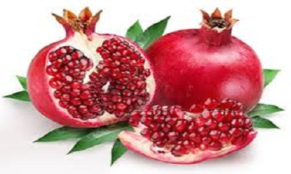 Những thực phẩm tốt cho sức khỏe trong mùa đông