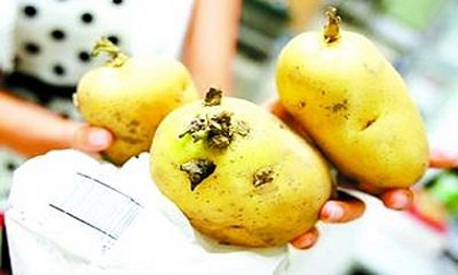 Những thực phẩm khiến mẹ bầu có nguy cơ sảy thai