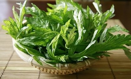 Công dụng chữa bệnh của ngải cứu