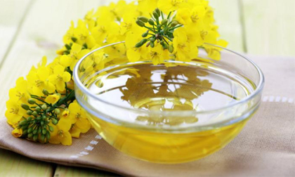 Hướng dẫn sử dụng các loại dầu ăn đúng cách, tốt cho sức khỏe