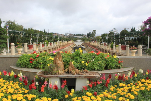 du-lich-da-lat-2012-2-xahoi.com.vn-w500-h333