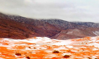 Ngỡ ngàng cảnh tuyết rơi phủ trắng sa mạc Sahara