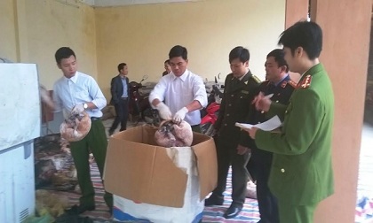 Thanh Hóa: Tịch thu gần 600 kg động vật thuộc nhóm quý hiếm