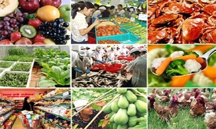 Hà Nội: Công khai vi phạm để tẩy chay sản phẩm thực phẩm bẩn