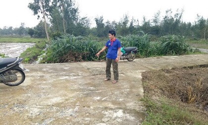 Đi chăn bò, bé gái 9 tuổi bị kẻ bịt mặt chích roi điện định bắt cóc