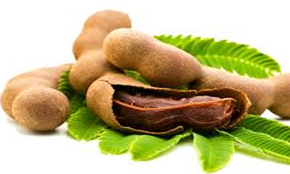 Bà bầu uống nước me được không?