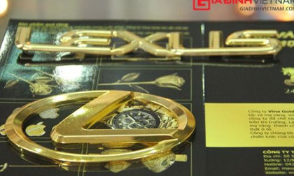 Logo xe mạ vàng chơi Tết giá 12 triệu đồng gây chú ý cuối năm