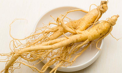 Những người không nên dùng nhâm sâm