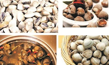 Mẹo hay lựa chọn và làm sạch ngao, ốc vô cùng đơn giản