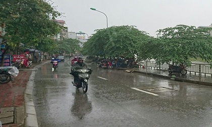 Dự báo thời tiết ngày 16/01: Cả nước có mưa