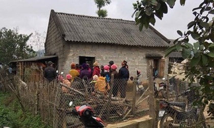 Xin tiền không được, con trai 14 tuổi sát hại mẹ