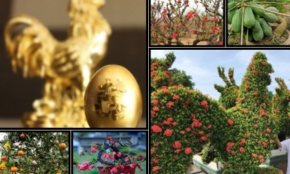 Bonsai, tượng gà chơi tết Đinh Dậu đắt tiền nhưng được nhiều người săn lùng