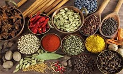 Những món đồ nhất định phải có trong bếp của gia đình
