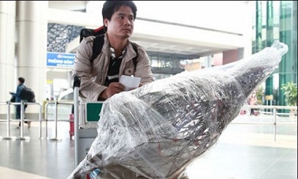 Đào, mai xuôi ngược Bắc Nam…