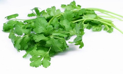 Những bài thuốc dân gian trị bệnh sởi