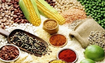 Những loại thực phẩm giúp chắc xương