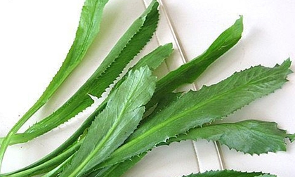 Lợi ích sức khỏe của mùi tàu