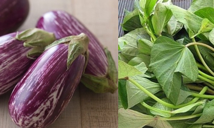 Thực phẩm giúp mẹ bầu dễ sinh