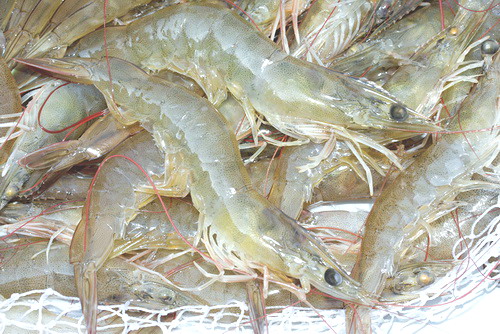 cach-nau-canh-chua-tom-khe-ngon-ngot-tu-nhien-giadinhvietnam.com 1