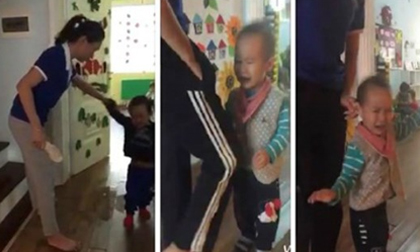 Mầm non Sen Vàng bị đình chỉ hoạt động vô thời hạn