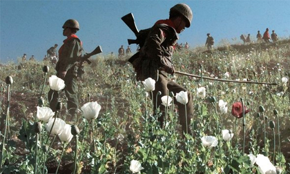Bắt giữ nhà sư tàng trữ hơn 4 triệu viên ma túy đá tại chùa