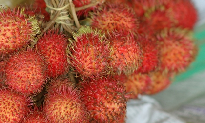 Mẹo chọn mua chôm chôm tươi ngon, mọng nước