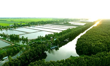 Tin nóng trưa 8/2: Kỷ luật cán bộ Bộ Công thương đi lễ chùa trong giờ hành chính