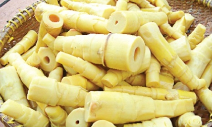 Những người tuyệt đối không nên ăn măng