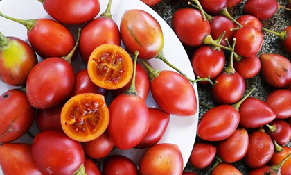 Cà chua triệu đồng một kg, bà nội trợ Việt vẫn săn mua
