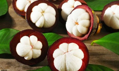 Mẹo đảm chọn măng cụt tươi ngon thế nào?