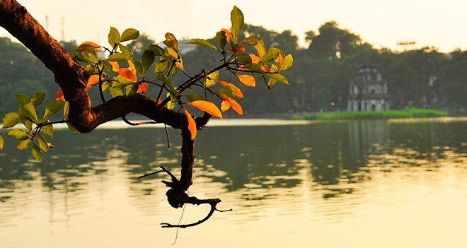 Dự báo thời tiết ngày 17/2: Bắc và Nam Bộ nắng ráo