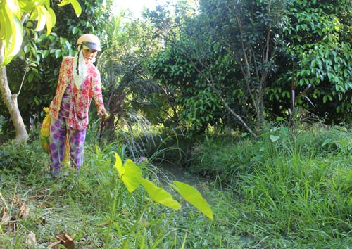 Vụ bé gái 10 tuổi bị giết: Lời kể kinh hoàng từ nhân chứng - 2