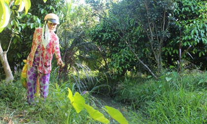 Vụ bé gái 10 tuổi bị giết: Lời kể kinh hoàng từ nhân chứng