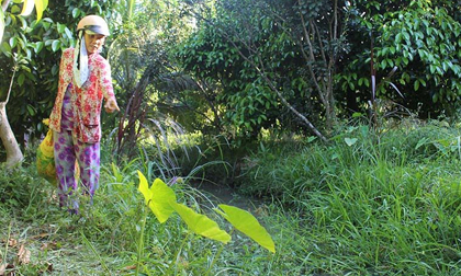 Manh mối phá án vụ nam sinh hiếp dâm rồi giết bé 10 tuổi