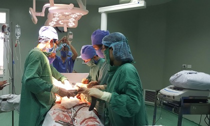 Một người tử vong vì bị trâu húc thủng bụng, gãy xương sườn