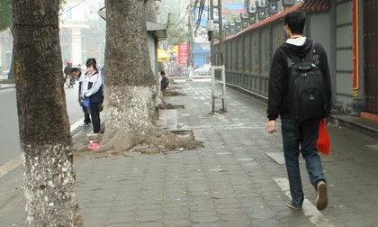 Dự báo thời tiết ngày 25/2: Bắc Bộ đón không khí lạnh, nhiệt độ giảm sâu