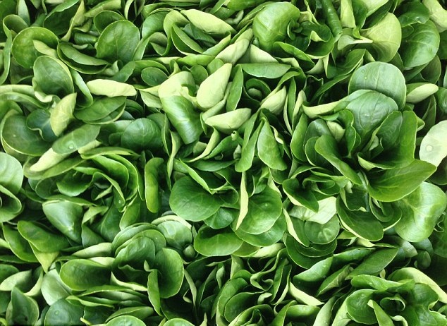 Những thực phẩm này không 