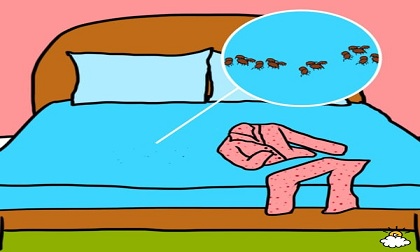 Ai mặc đồ ngủ quá 2 ngày sẽ 'sởn gai ốc' khi biết những điều này